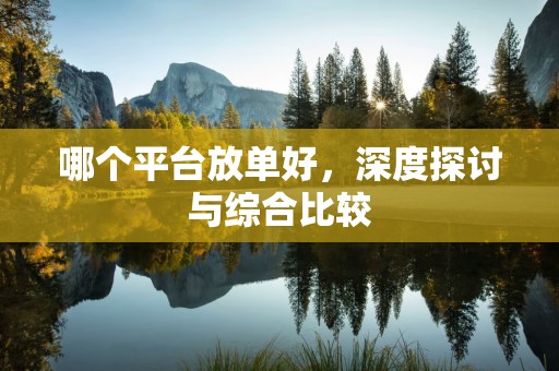 哪个平台放单好，深度探讨与综合比较