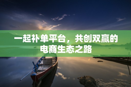 一起补单平台，共创双赢的电商生态之路