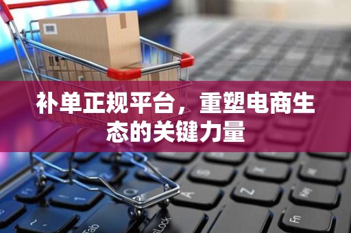 补单正规平台，重塑电商生态的关键力量