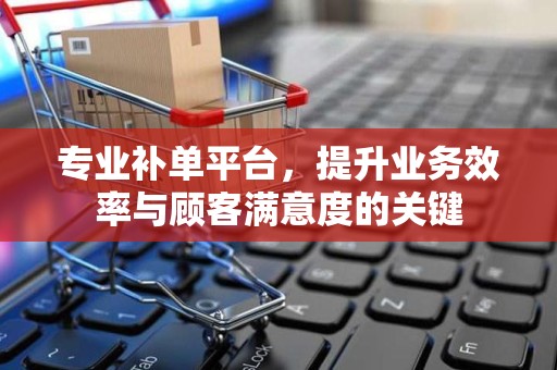 专业补单平台，提升业务效率与顾客满意度的关键