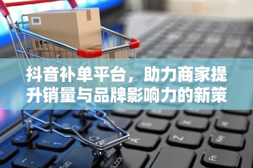 抖音补单平台，助力商家提升销量与品牌影响力的新策略