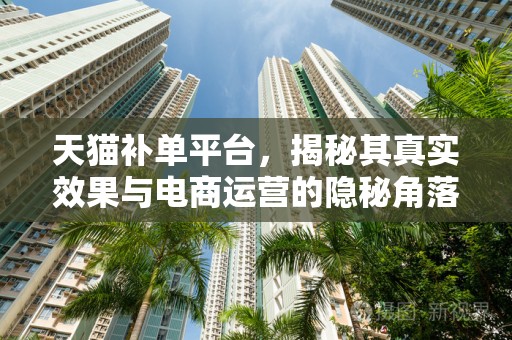 天猫补单平台，揭秘其真实效果与电商运营的隐秘角落