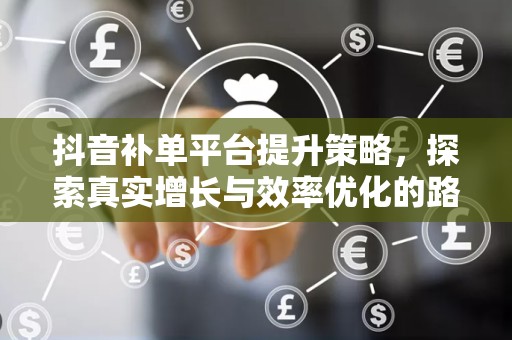 抖音补单平台提升策略，探索真实增长与效率优化的路径