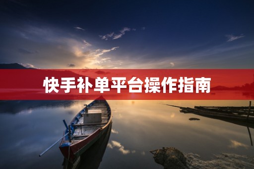 快手补单平台操作指南