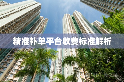 精准补单平台收费标准解析