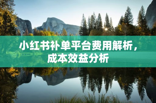 小红书补单平台费用解析，成本效益分析