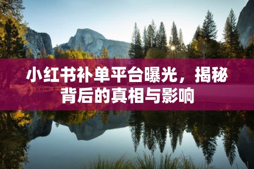 小红书补单平台曝光，揭秘背后的真相与影响