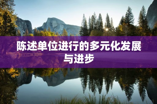 陈述单位进行的多元化发展与进步