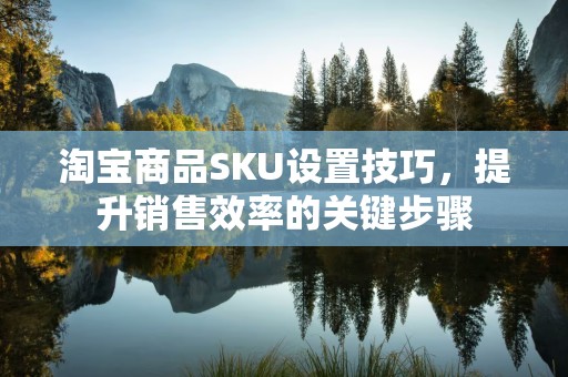 淘宝商品SKU设置技巧，提升销售效率的关键步骤