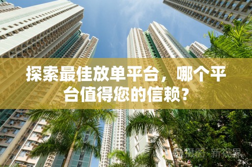 探索最佳放单平台，哪个平台值得您的信赖？