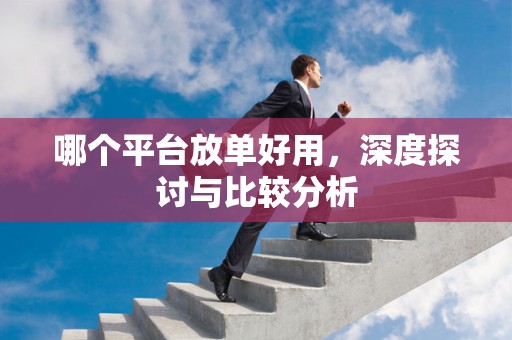 哪个平台放单好用，深度探讨与比较分析