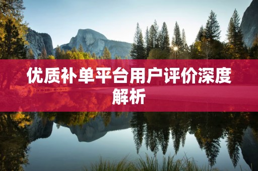 优质补单平台用户评价深度解析