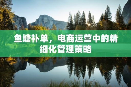鱼塘补单，电商运营中的精细化管理策略