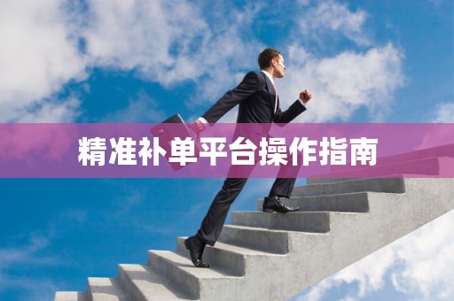 精准补单平台操作指南
