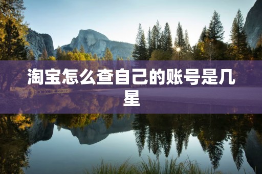 淘宝怎么查自己的账号是几星