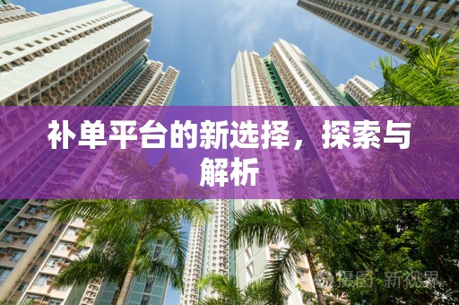 补单平台的新选择，探索与解析