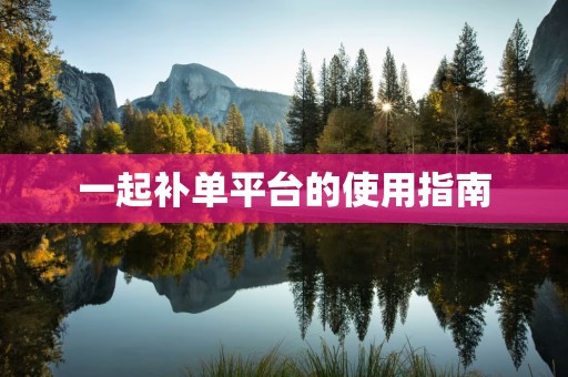一起补单平台的使用指南