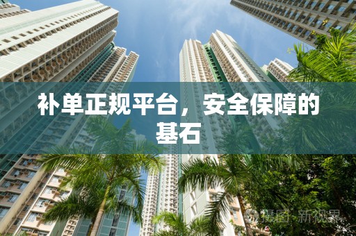 补单正规平台，安全保障的基石