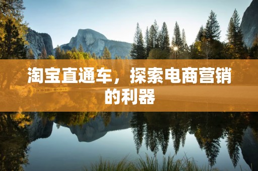 淘宝直通车，探索电商营销的利器