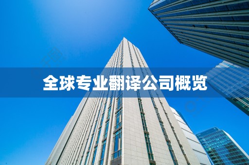 全球专业翻译公司概览