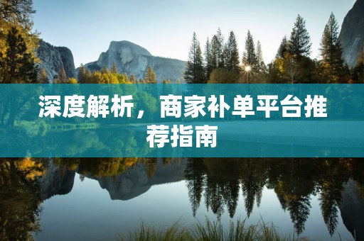 深度解析，商家补单平台推荐指南