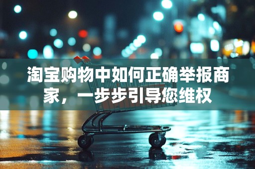 淘宝购物中如何正确举报商家，一步步引导您维权