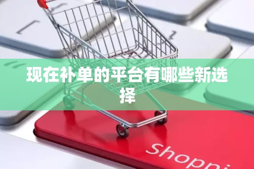 现在补单的平台有哪些新选择