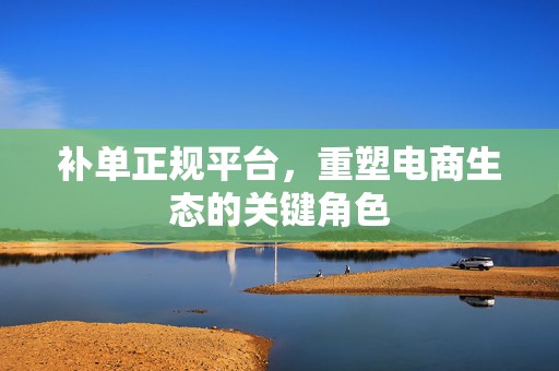 补单正规平台，重塑电商生态的关键角色