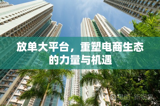 放单大平台，重塑电商生态的力量与机遇