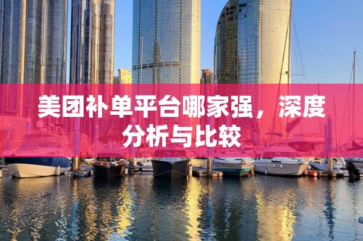 美团补单平台哪家强，深度分析与比较