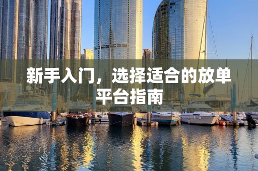 新手入门，选择适合的放单平台指南