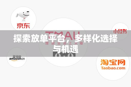 探索放单平台，多样化选择与机遇