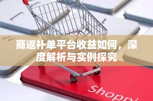 商返补单平台收益如何，深度解析与实例探究