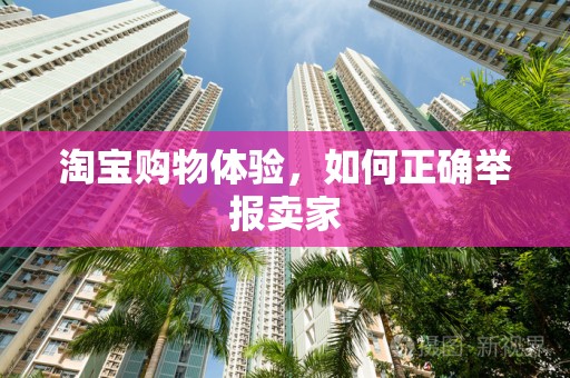 淘宝购物体验，如何正确举报卖家