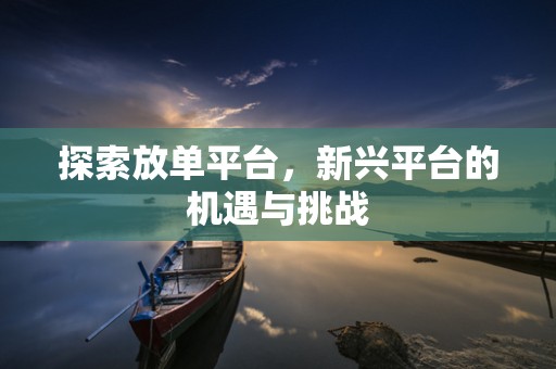 探索放单平台，新兴平台的机遇与挑战