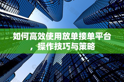 如何高效使用放单接单平台，操作技巧与策略