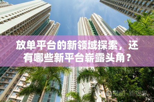 放单平台的新领域探索，还有哪些新平台崭露头角？