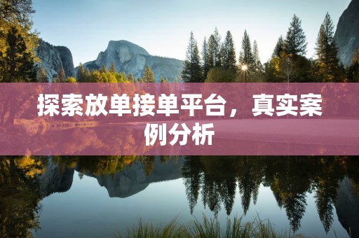 探索放单接单平台，真实案例分析