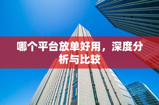 哪个平台放单好用，深度分析与比较