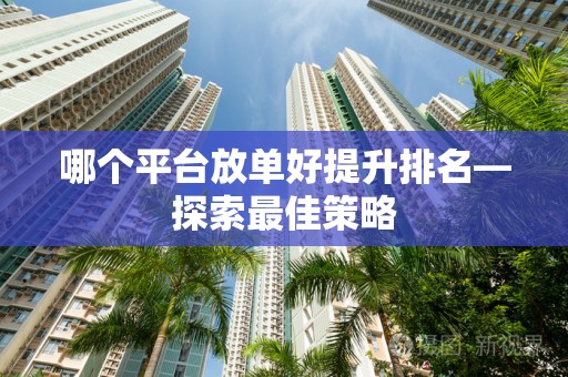 哪个平台放单好提升排名—探索最佳策略
