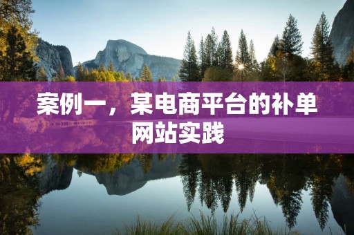 案例一，某电商平台的补单网站实践
