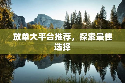 放单大平台推荐，探索最佳选择