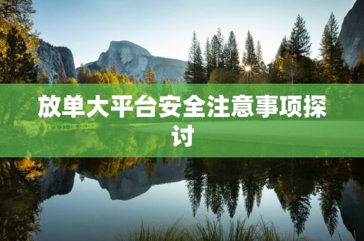 放单大平台安全注意事项探讨