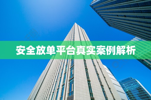 安全放单平台真实案例解析