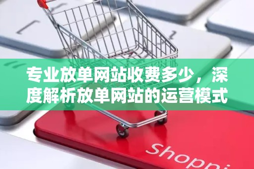 专业放单网站收费多少，深度解析放单网站的运营模式与费用结构