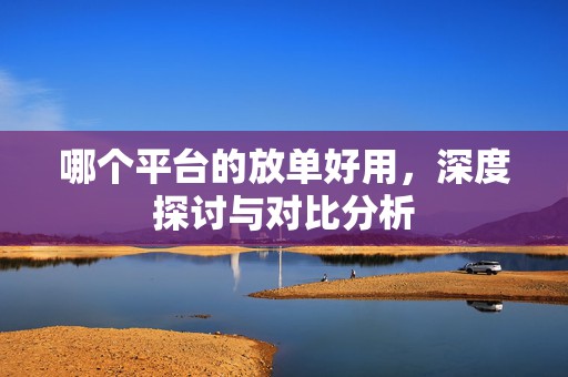 哪个平台的放单好用，深度探讨与对比分析