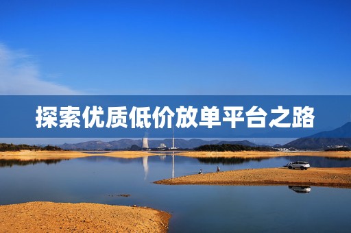 探索优质低价放单平台之路