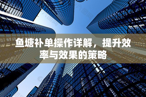 鱼塘补单操作详解，提升效率与效果的策略