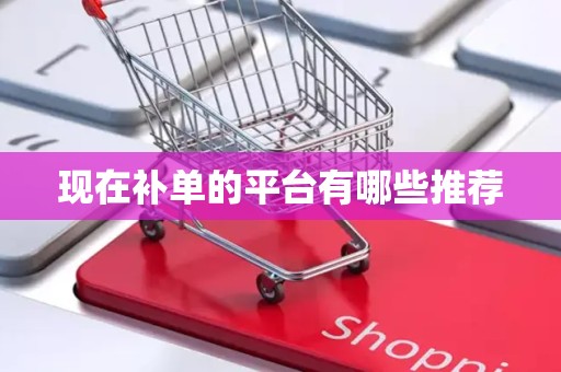 现在补单的平台有哪些推荐