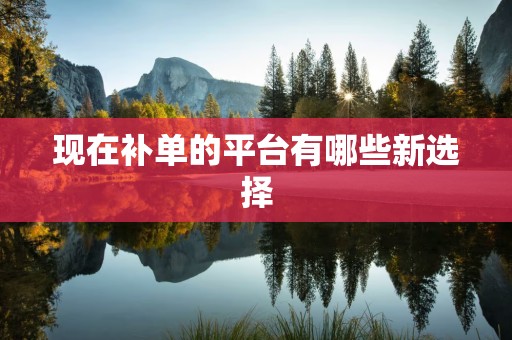 现在补单的平台有哪些新选择